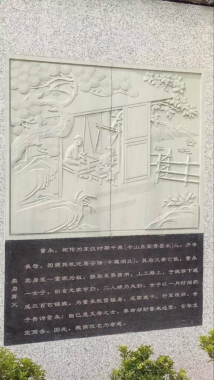 ayx爱体育官网